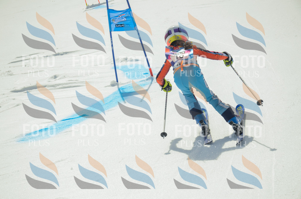 _ELE4555 | holidayphoto