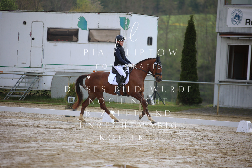 IMGT2263 | pl-fotografie