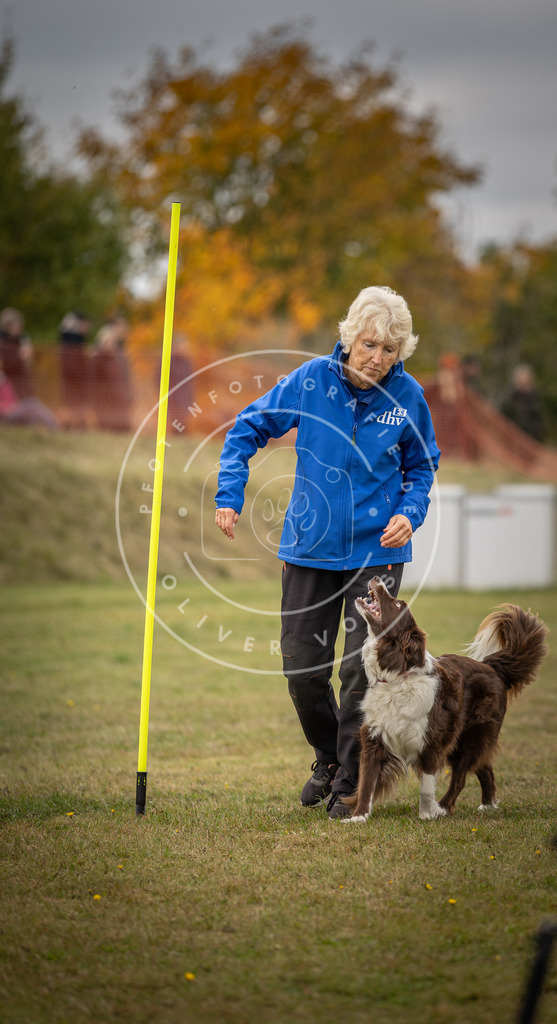 Pfotenfotografie_DV3A6043 | Hundefotografie, Tierfotograf, Pfotenfotografie, Fotoshooting Hund, Hunde Portrait, Hundesport, Hundeportraits, Heideshooting, Hunde, Sportfotograf, Hundefotograf, Turnierhundsport, THS,  - Realisiert mit Pictrs.com