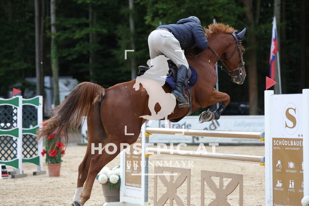 0P6A9191 | Willkommen bei Brunnmayr - Design & Fotografie – Ihrem Spezialisten für Reitturniere und Pferdeveranstaltungen in Oberösterreich, Salzburg und Bayern! Seit über 17 Jahren sind wir leidenschaftlich dabei.