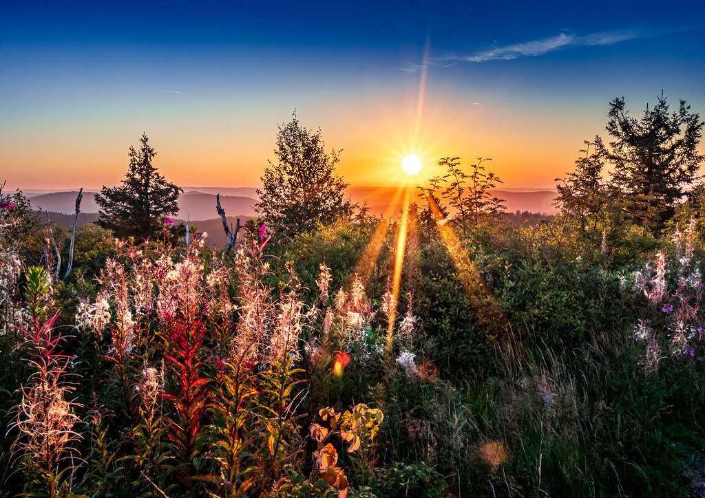 MPI_Sunset_0021 | Sonnenaufgang auf der Hornisgrinde - Realisiert mit Pictrs.com