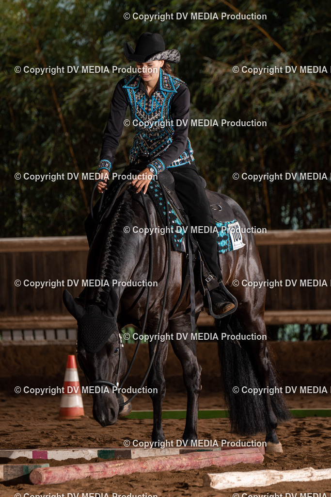 Erbach Tag 3-370 | dv-media-shop - Realisiert mit Pictrs.com