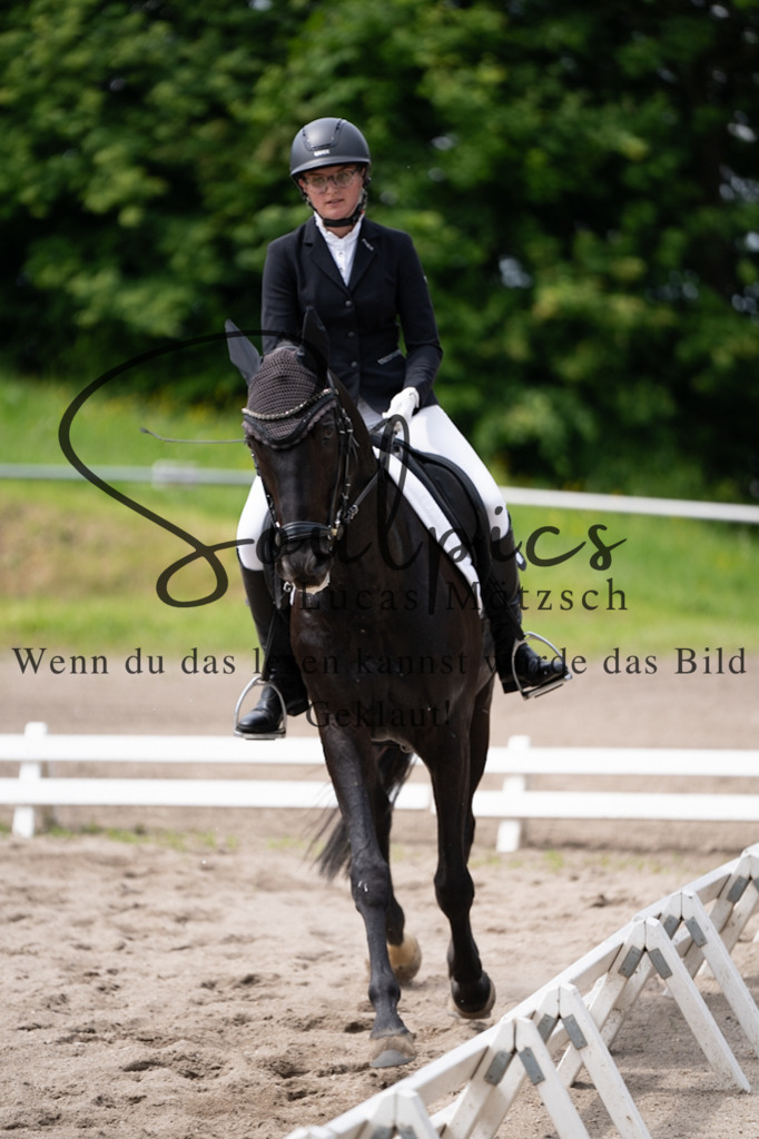 A7V02795 | Pferdefotograf