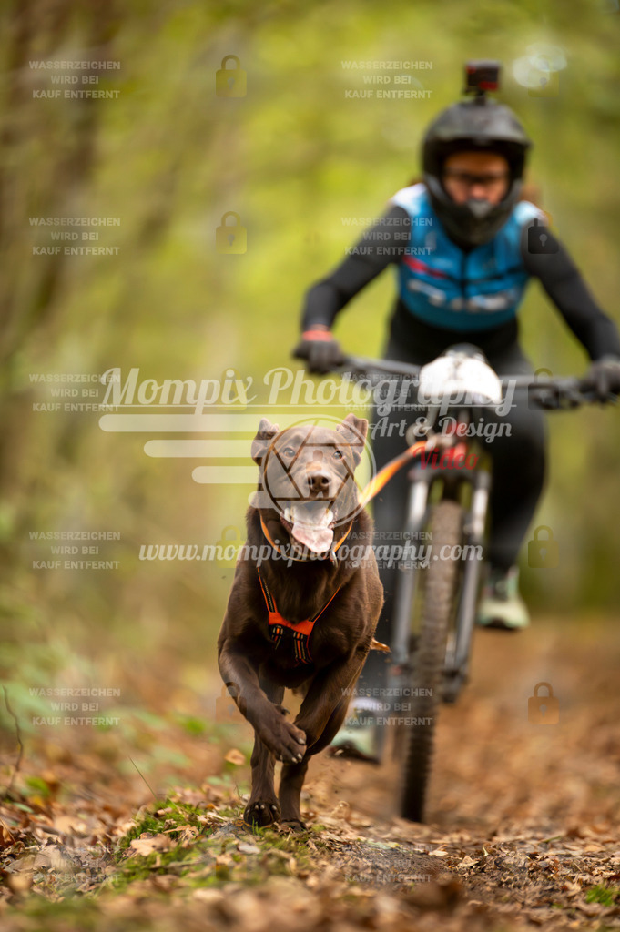 TSB_2023_E1_Bike-55 | MompixPhotography