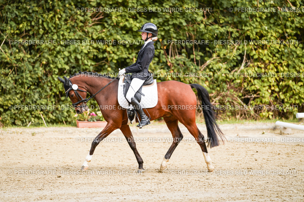 DSC09533 | Pferdegrafie