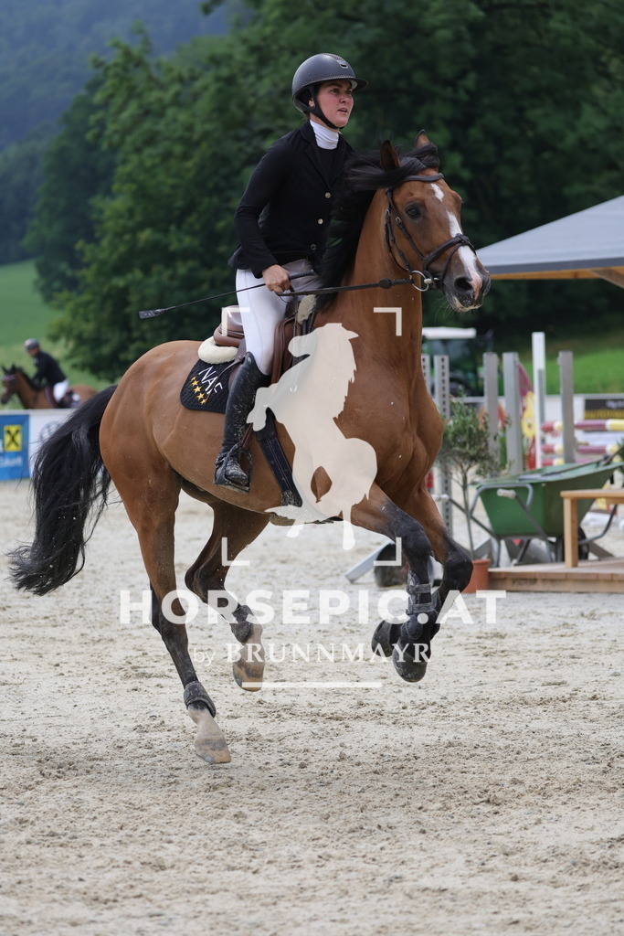 0P6A4498 | Willkommen bei Brunnmayr - Design & Fotografie – Ihrem Spezialisten für Reitturniere und Pferdeveranstaltungen in Oberösterreich, Salzburg und Bayern! Seit über 17 Jahren sind wir leidenschaftlich dabei.