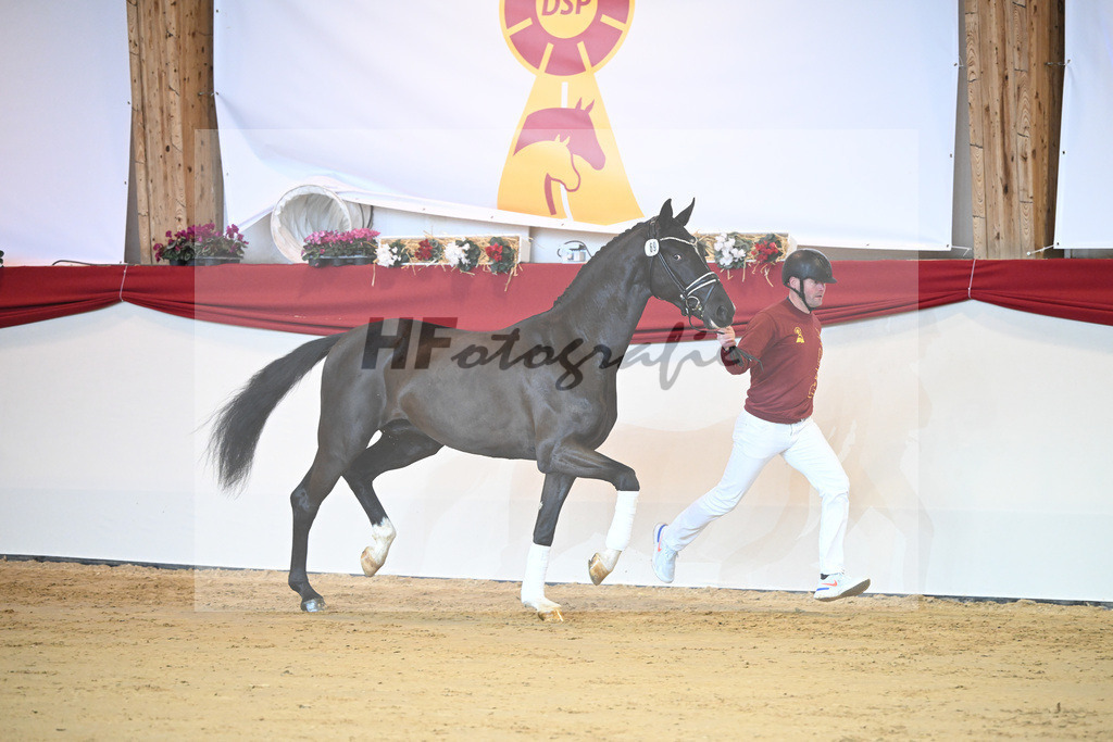 Kat-Nr. 69 Sezuan_Klausing GbR_1231369 | hf-fotografie - Realisiert mit Pictrs.com