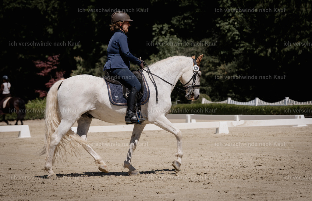 WE_DR_128_SinaFilmArt_IN03683 | working equitationturnier fotograf videograf stoibphotography marixx film working equitation deutschland reitsport turnierfotografie eventfotografie equestrian events
