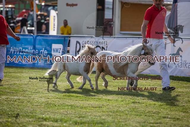 LTN 2024 (77) | mandyhollmannphotographie