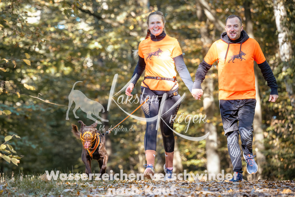 1120_ZZ92011 | kk-dogfotos