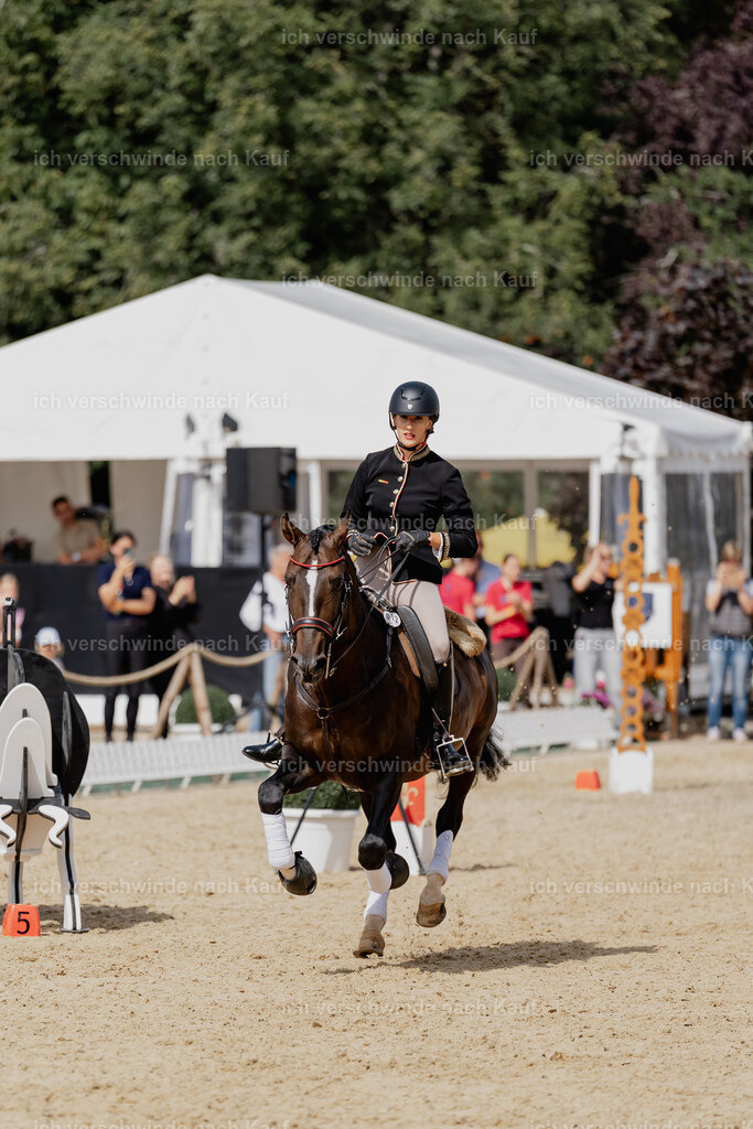 Virginie12FHC2025-3072 | working equitationturnier fotograf videograf stoibphotography marixx film working equitation deutschland reitsport turnierfotografie eventfotografie equestrian events