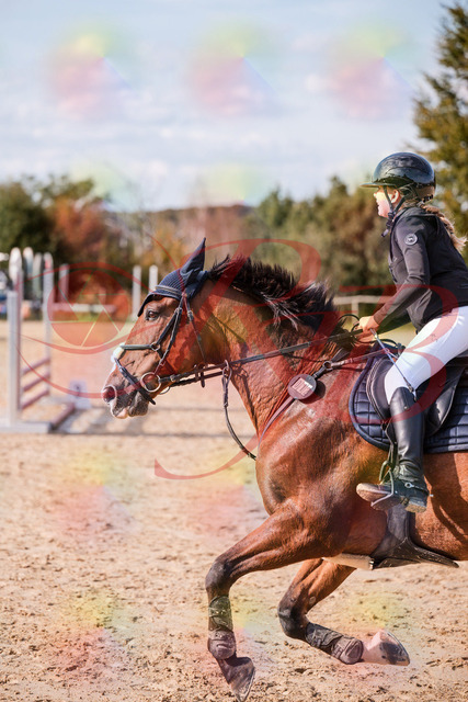 2026_10_03_Siefer-Hof_154716_Z81_66880754 | Professionelle Reitsport-, Turnier- und Eventfotografie von Robert Broda. Galerien mit ausgewählten und bearbeiteten Bildern direkt online ansehen und bestellen.