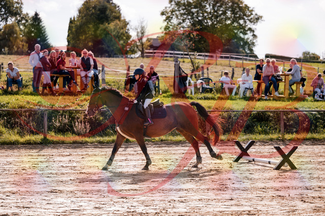 2026_10_03_Siefer-Hof_143808_Z81_07892866 | Professionelle Reitsport-, Turnier- und Eventfotografie von Robert Broda. Galerien mit ausgewählten und bearbeiteten Bildern direkt online ansehen und bestellen.