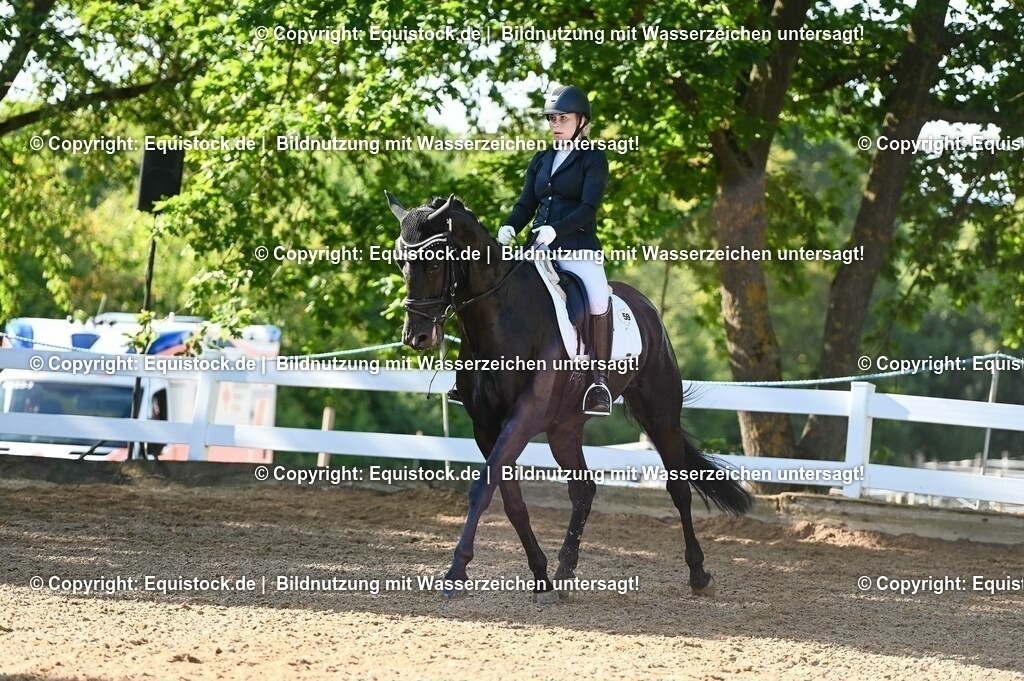 20230715_06_Dressurpferdeprfg. Kl.A_0074 | equistock