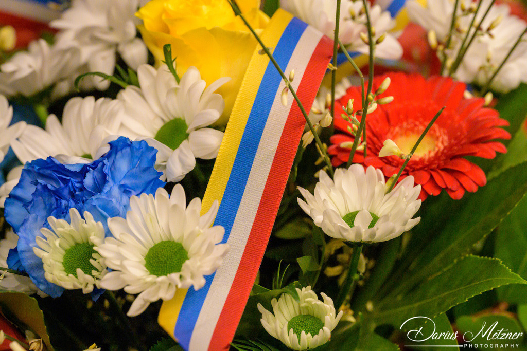 Die Mainzer Fastnacht | Die Mainzer Fastnacht