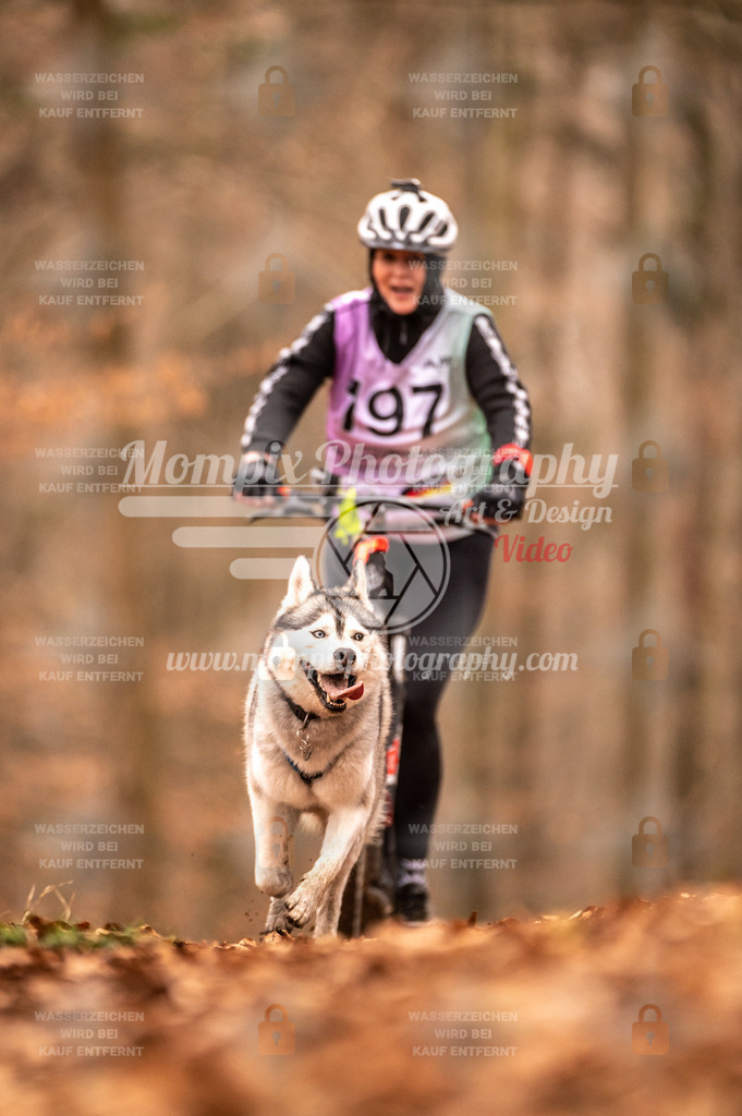 AKM_ST_2023_Son_Run-28 | PayLife