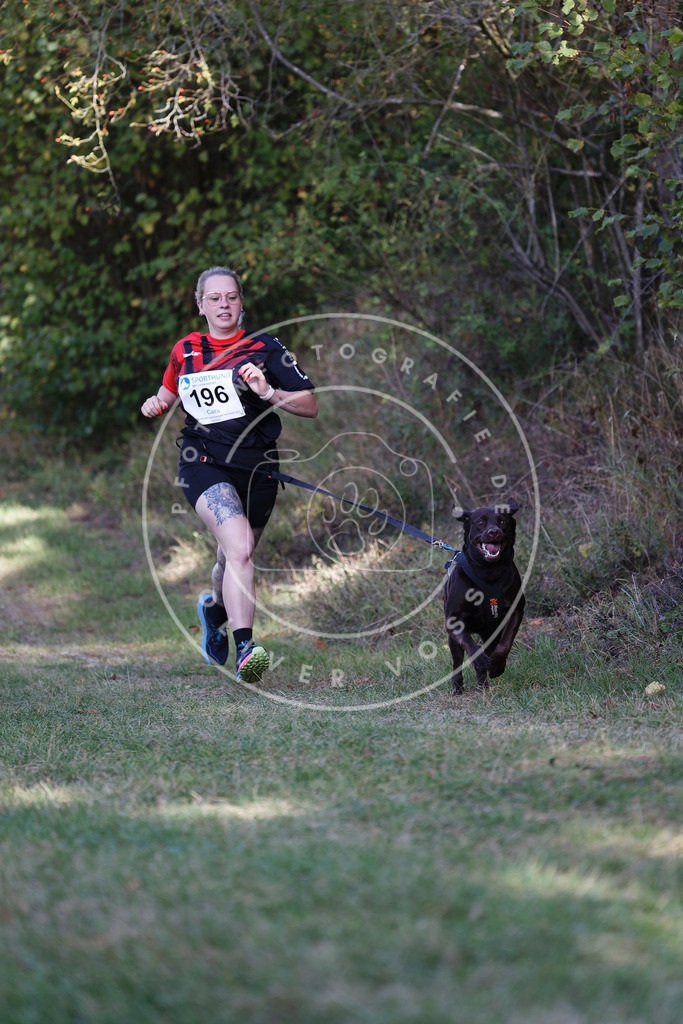 0L8A5682 | Hundefotografie, Tierfotograf, Pfotenfotografie, Fotoshooting Hund, Hunde Portrait, Hundesport, Hundeportraits, Heideshooting, Hunde, Sportfotograf, Hundefotograf, Turnierhundsport, THS,  - Realisiert mit Pictrs.com