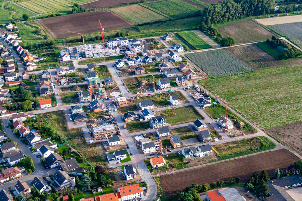 Luftbild: Neubaugebiet Betheny-Allee im Ortsteil Schauernheim in Dannstadt-Schauernheim im Bundesland Rheinland-Pfalz in Deutschland. Foto: IMG_71216.jpg vom 27.08.2014 durch Werner Riehm/FLY-FOTO.de