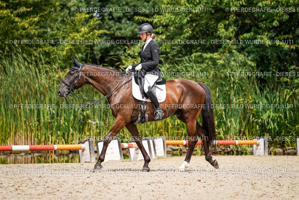 DSC03540 | Pferdegrafie