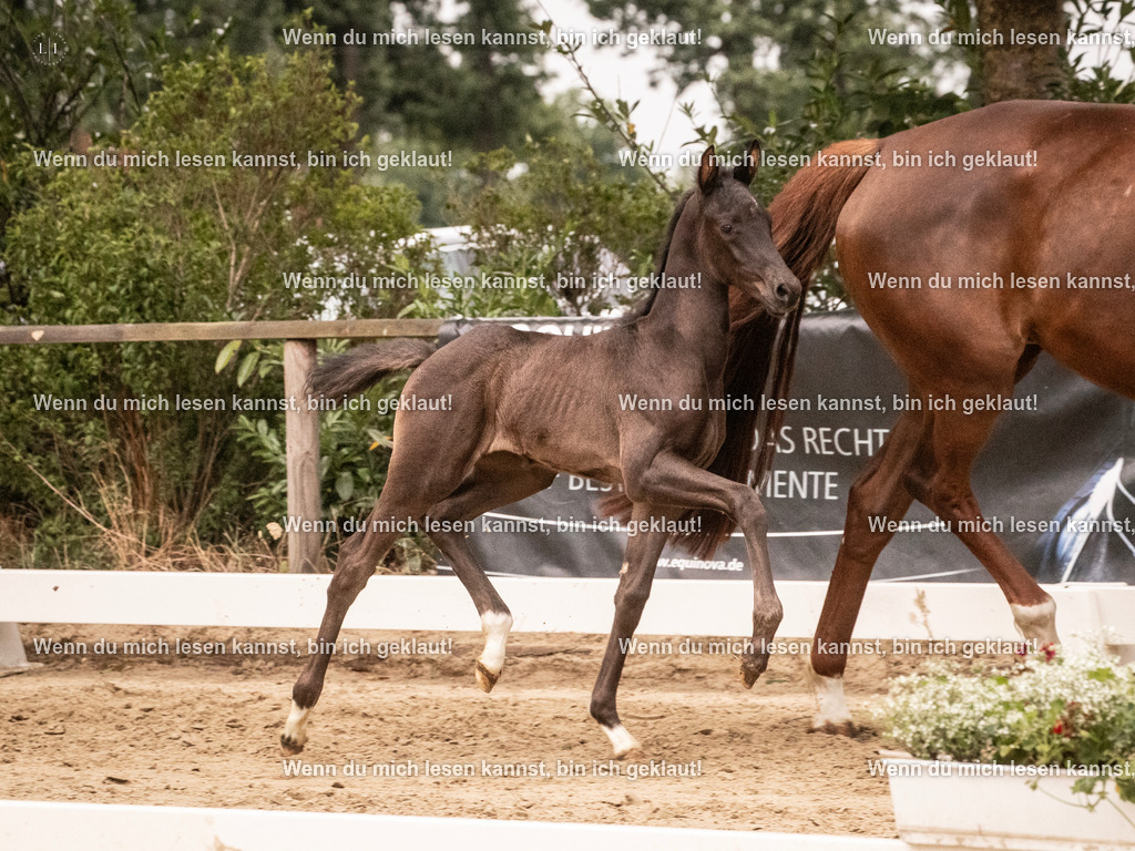 A10I5010 | photographylinaismer - Realisiert mit Pictrs.com