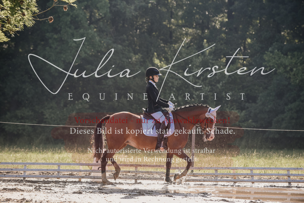 DSC_7853 | Pferde- und Turnierfotografie in Westsachsen. Pferdeportraits, Auftragszeichnungen und intuitive Kunst.