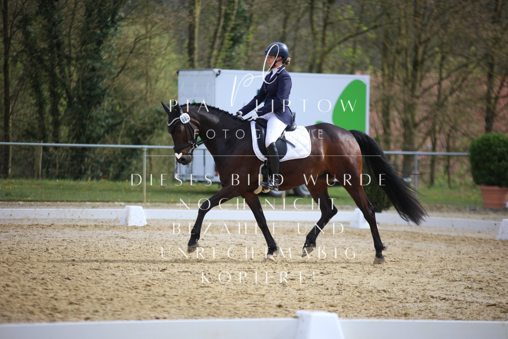 IMGT6117 | pl-fotografie