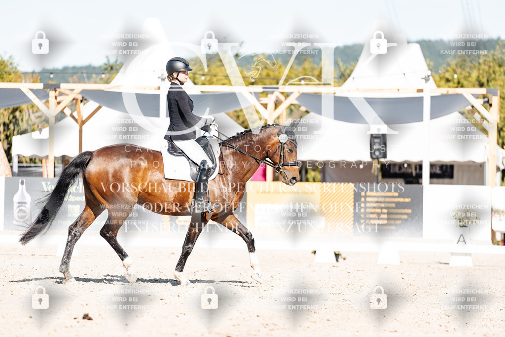 CK907932 | Turnierfotografie Pferdefotografie Trier Rheinland-Pfalz Pferdesport Reitsport Tierfotografie Sportfotografie Pferdevideo Pferdevideografie Equestrianvideography equestrianphotography  - Realisiert mit Pictrs.com