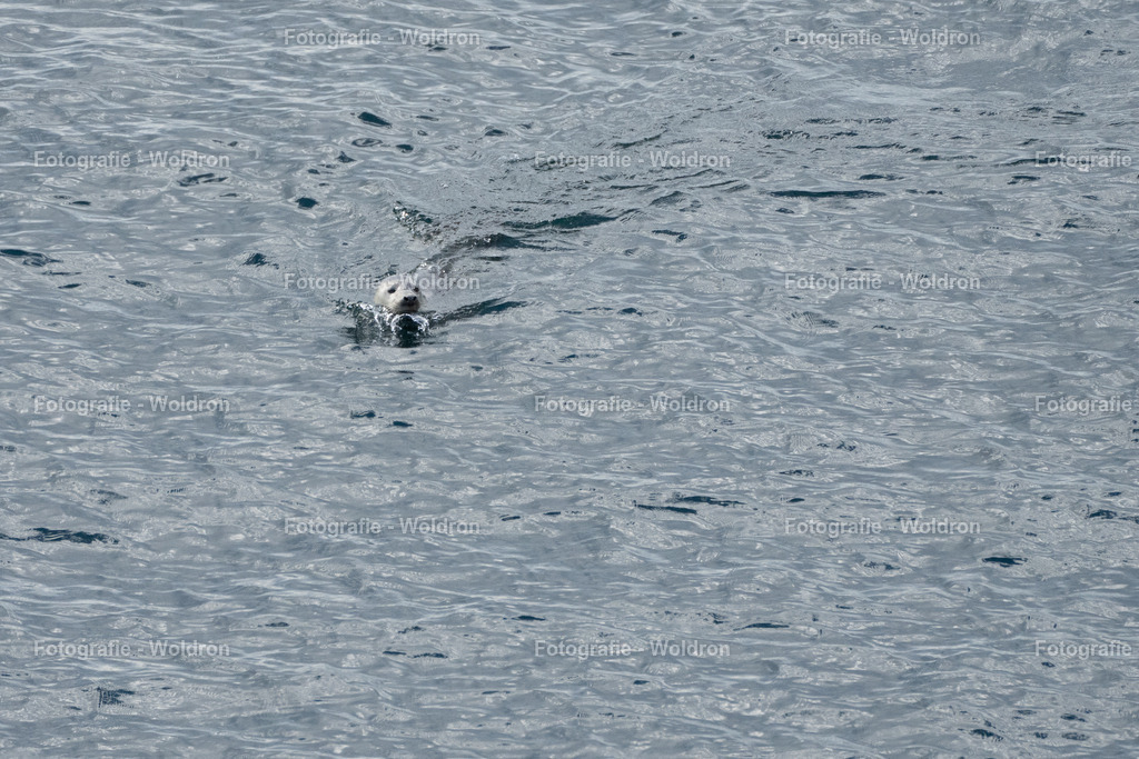 20230815 Isle of Sky - St.Andrews - Dundee-70 | Fotografie Woldron