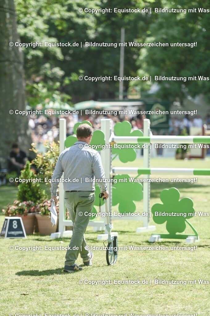 D78_3479 | equistock