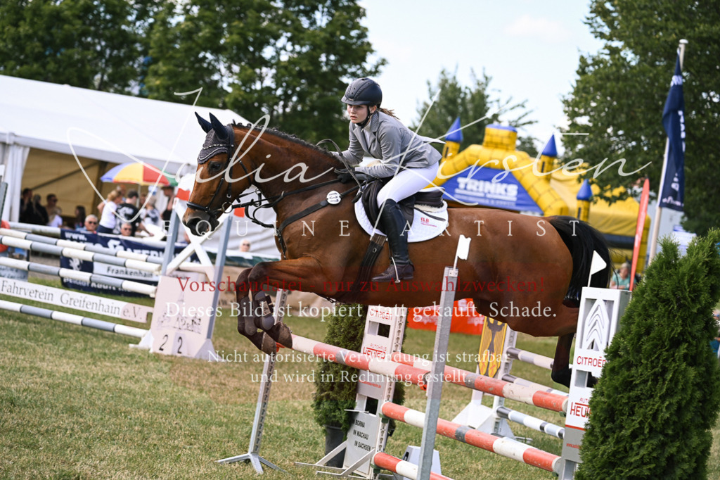 DSC_0575 | Pferde- und Turnierfotografie in Westsachsen. Pferdeportraits, Auftragszeichnungen und intuitive Kunst.