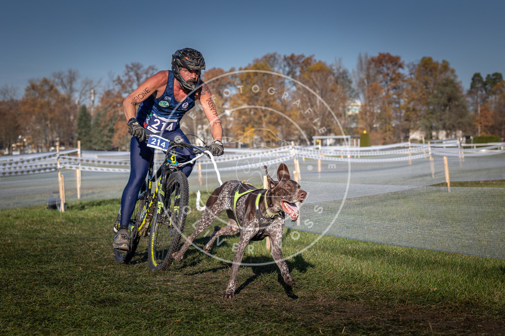 CaniXpix_0L8A4579 | Hundefotografie, Tierfotograf, Pfotenfotografie, Fotoshooting Hund, Hunde Portrait, Hundesport, Hundeportraits, Heideshooting, Hunde, Sportfotograf, Hundefotograf, Turnierhundsport, THS,  - Realisiert mit Pictrs.com