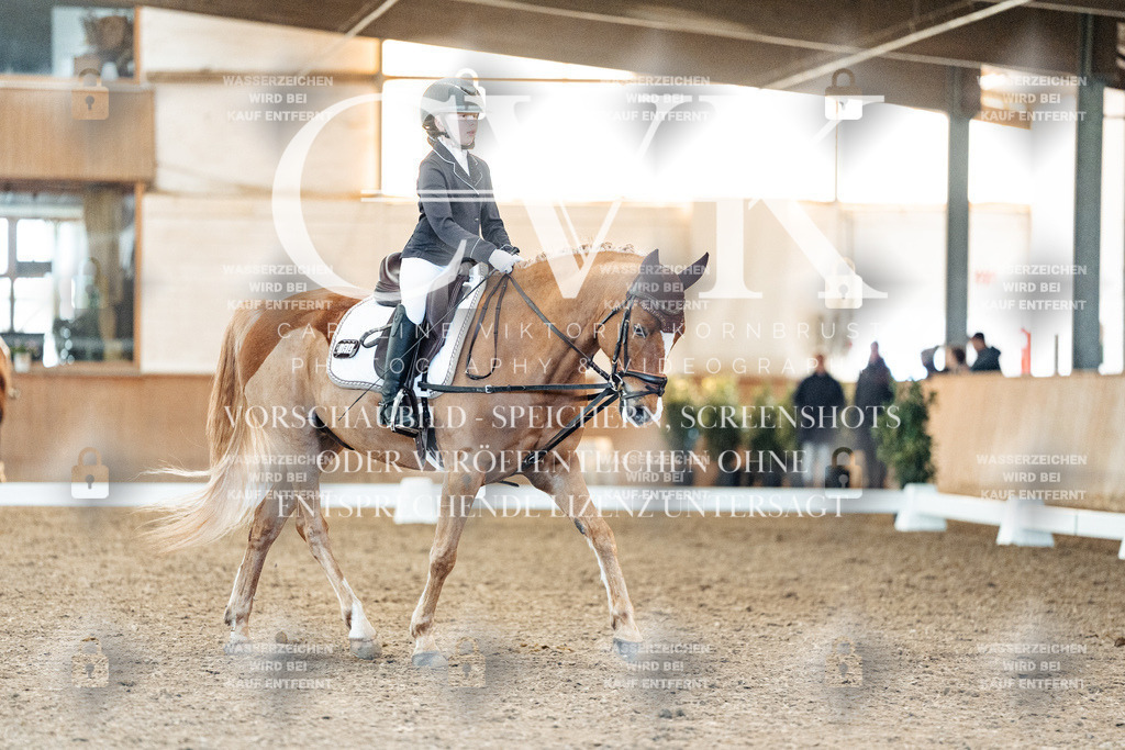 CK907958 | Turnierfotografie Pferdefotografie Trier Rheinland-Pfalz Pferdesport Reitsport Tierfotografie Sportfotografie Pferdevideo Pferdevideografie Equestrianvideography equestrianphotography  - Realisiert mit Pictrs.com