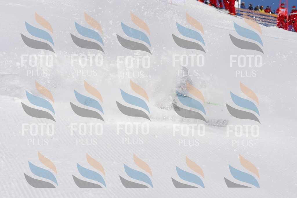 _W1G0695 | holidayphoto