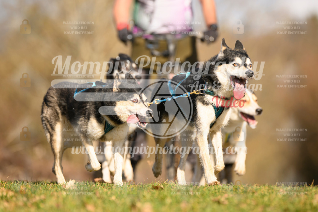 MompixPhotography_10Schwabentrail2026_SO_Kart-14 | PayLife