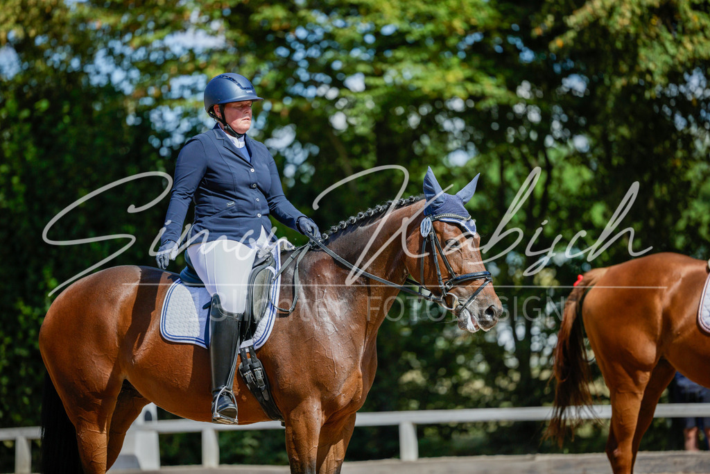 20250906-_3LI4909 | Tierfotografie Pferde, Hunde, Katzen, Haustiere.
Turnierfotografie Reitturniere, Reiten, Springreiten, Dressur in Hanau, dem Main-Kinzig-Kreis und dem Rhein-Main- Gebiet um Frankfurt