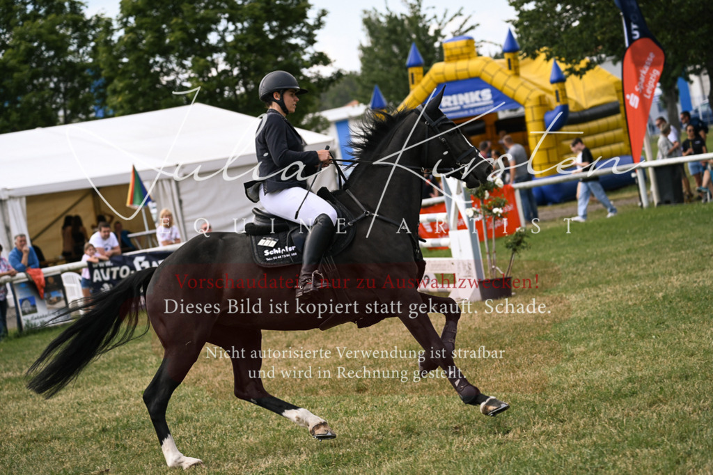 DSC_0814 | Pferde- und Turnierfotografie in Westsachsen. Pferdeportraits, Auftragszeichnungen und intuitive Kunst.