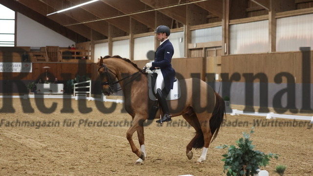 Ansbach_2024_Prfg.Nr.01_Kurz-GrandPrix_Stefan Puschmann_Bentley 108 (31) | Alle Fotos der Reiterjournal Fotografin Doris Matthaes im Reiterjournal Online-Fotoshop. - Realisiert mit Pictrs.com