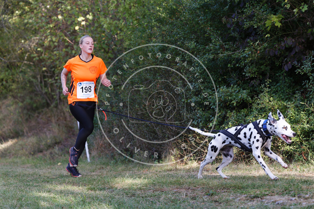 0L8A5743 | Hundefotografie, Tierfotograf, Pfotenfotografie, Fotoshooting Hund, Hunde Portrait, Hundesport, Hundeportraits, Heideshooting, Hunde, Sportfotograf, Hundefotograf, Turnierhundsport, THS,  - Realisiert mit Pictrs.com
