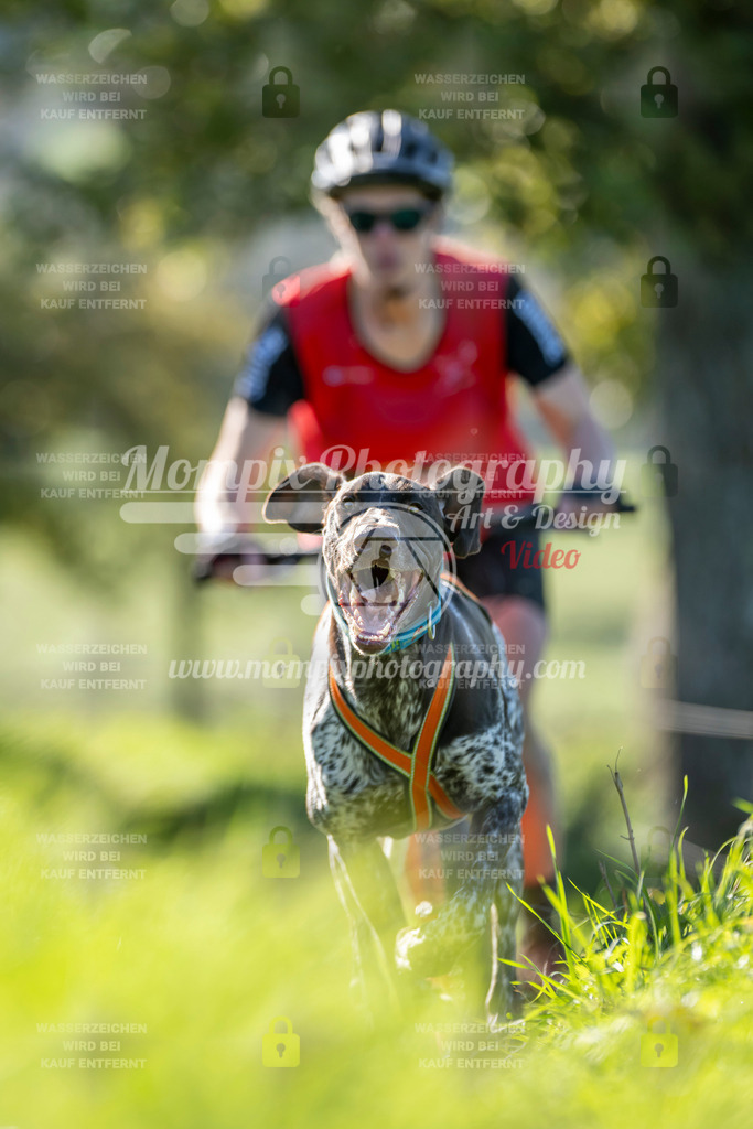 MompixPhotography_20TSB_E3_DS1-82 | PayLife