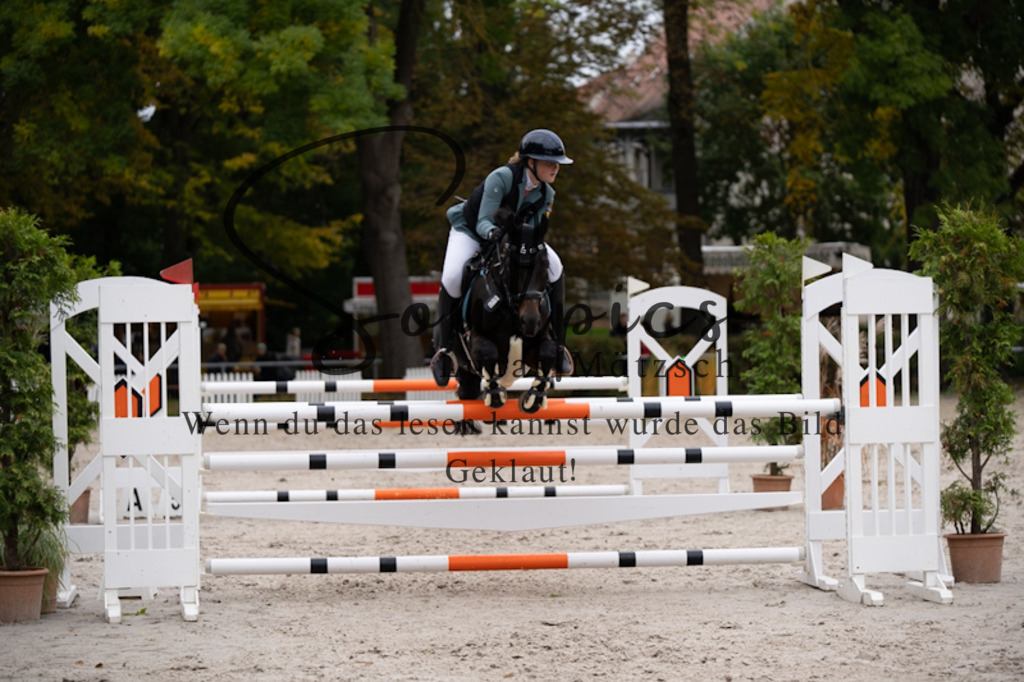 A7V09126 | Pferdefotograf