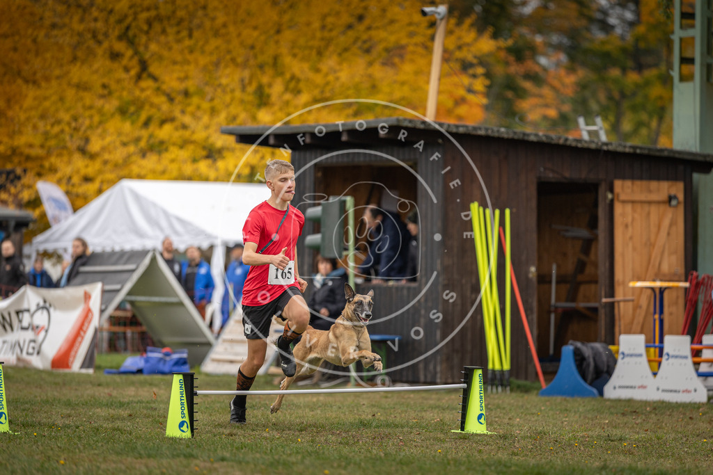 Pfotenfotografie_DV3A5038 | Hundefotografie, Tierfotograf, Pfotenfotografie, Fotoshooting Hund, Hunde Portrait, Hundesport, Hundeportraits, Heideshooting, Hunde, Sportfotograf, Hundefotograf, Turnierhundsport, THS,  - Realisiert mit Pictrs.com