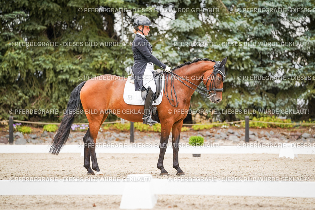 DSC07317 | Pferdegrafie