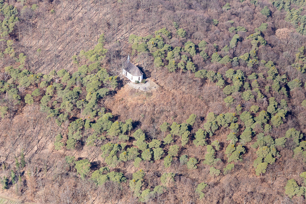 Luftbild: Michaelskappelle in Deidesheim im Bundesland Rheinland-Pfalz in Deutschland. Foto: IMG_112794.jpg vom 27.02.2019 durch Werner Riehm/FLY-FOTO.de