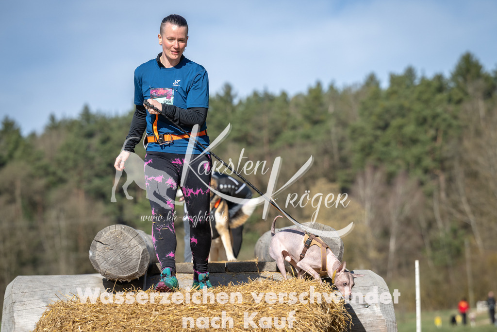 1011_ZZ99360 | kk-dogfotos