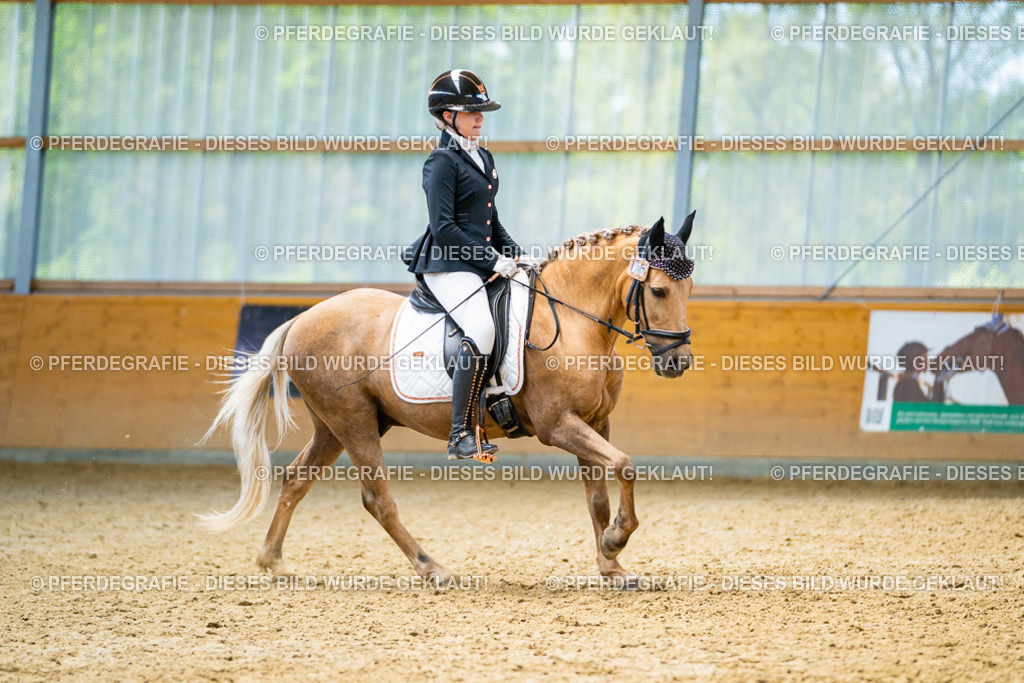 DSC09232 | Pferdegrafie