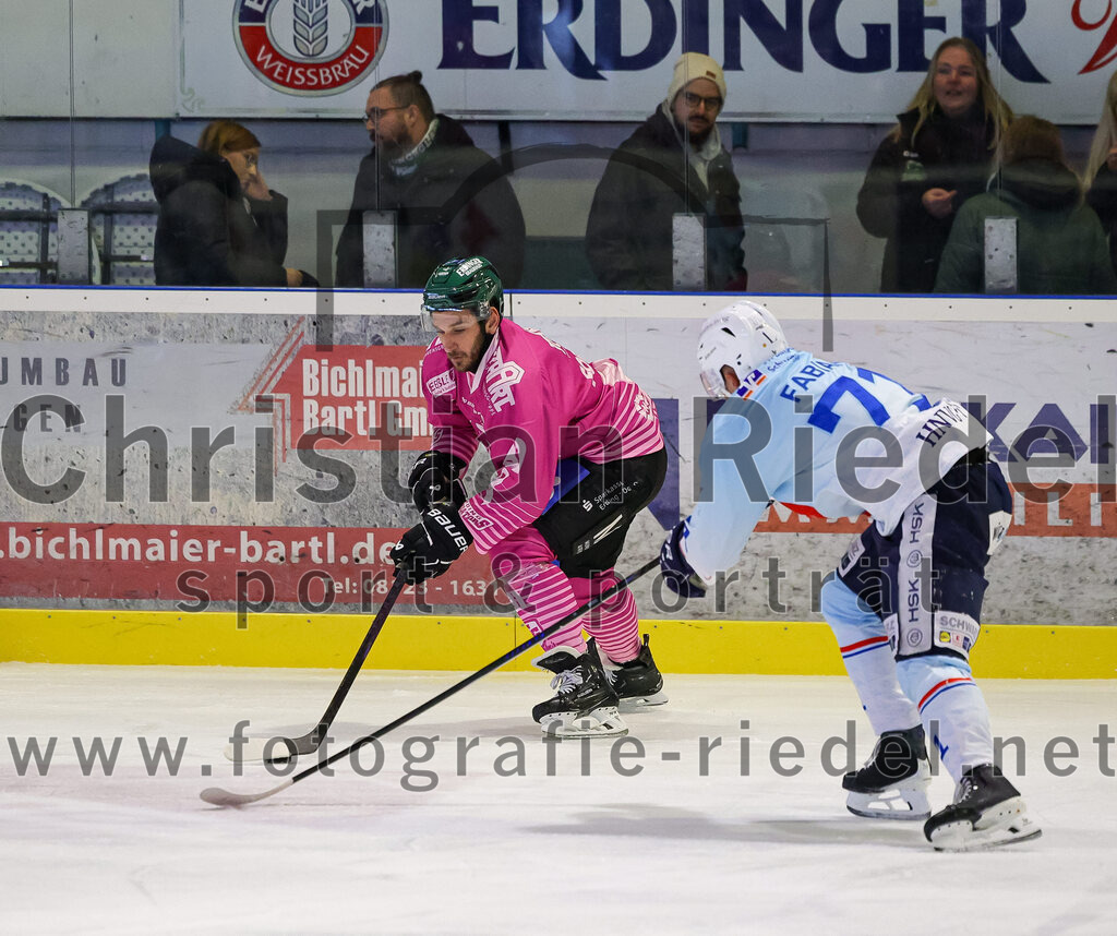 2025-10-05_039_TSV_Erding_gegen_Heilbronner_Falken | Erding, Deutschland, 05.10.2025:Eishockey, Oberliga Süd 2025 / 2026, 6. Spieltag, TSV Erding gegen Heilbronner Falken, Endergebnis: 3:1Maximilian Forster (Erding Gladiators, #81), Paul Fabian (Heilbronner Falken, #71)Foto: Christian Riedel / fotografie-riedel.net