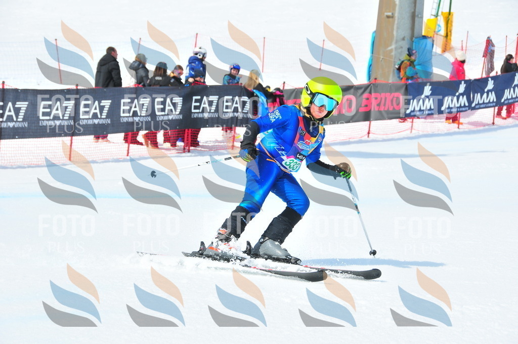 DSC_3059 | holidayphoto