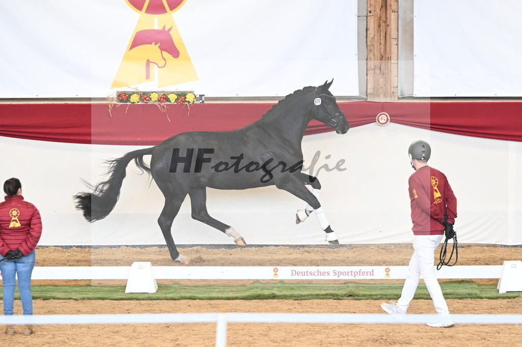 Kat.-Nr. 79 v. Toto Jr._Pfefferle_3260951 | hf-fotografie - Realisiert mit Pictrs.com