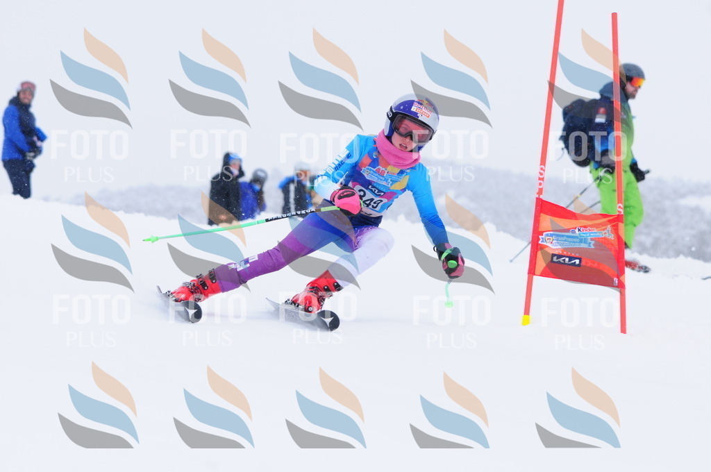 C3740 | holidayphoto