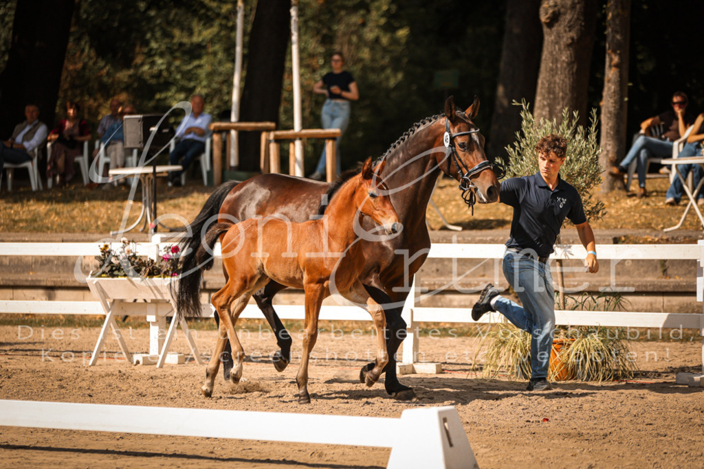 09.DoWBD00039 | Leoni Ertmer Photography - Realisiert mit Pictrs.com